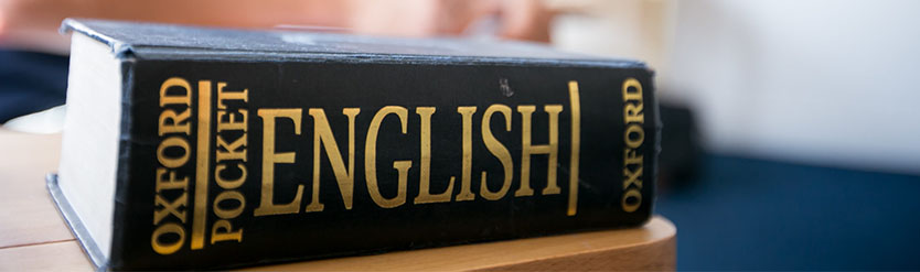 The Communicative English Programme
