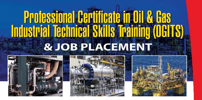 Professional Certificate in Oil & Gas Industrial Technical Skills